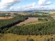 Thumbnail Land for sale in Gelly Wood And Muir Of Thorn, Bankfoot, Perth And Kinross