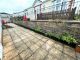 Thumbnail Mobile/park home for sale in Totnes Road, Paignton, Devon