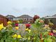 Thumbnail Semi-detached bungalow for sale in Philip Close, Romford