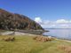 Thumbnail Land for sale in Mallaig