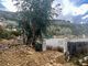 Thumbnail Country house for sale in Strada Vicinale Barbaira, Dolceacqua, Imperia, Liguria, Italy