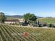 Thumbnail Farm for sale in Montalcino, Tuscany, Italy