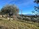 Thumbnail Property for sale in Vaison-La-Romaine, Provence-Alpes-Cote D'azur, 84110, France