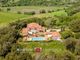 Thumbnail Leisure/hospitality for sale in Grosseto, Tuscany, Italy