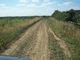 Thumbnail Land for sale in New Road, Chatteris