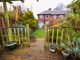 Thumbnail Semi-detached house to rent in Maple Grove, Sheffield