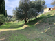 Thumbnail Land for sale in Nafpaktos, Aetolia Acarnania, West Greece, Greece