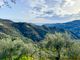 Thumbnail Country house for sale in Strada Morghe, Dolceacqua, Imperia, Liguria, Italy