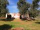 Thumbnail Cottage for sale in Sp30, San Vito Dei Normanni, San Vito Dei Normanni, Brindisi, Puglia, Italy