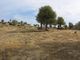 Thumbnail Land for sale in East Of Kyrenia