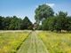 Thumbnail Detached house for sale in Coggeshall Road, Kelvedon, Colchester, Essex CO5.