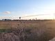 Thumbnail Land for sale in Carmiano, Puglia, Italy