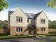 Thumbnail Semi-detached house for sale in "The Elgin" at Lusitania Gardens, Larkhall