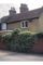 Thumbnail Detached house to rent in Grays Cottages, East Street, Colchester