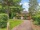 Thumbnail Detached house for sale in Hayway, Rushden, Northamptonshire