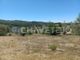 Thumbnail Land for sale in Carril, Serra E Junceira, Tomar