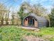 Thumbnail Detached house for sale in Norwich Road, Hedenham, Bungay, Norfolk