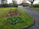 Thumbnail Bungalow for sale in Caherpeak, Kilcolgan, Vny6