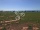 Thumbnail Land for sale in Marina Di Ragusa, Sicily, Italy