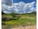 Thumbnail Land for sale in Barragem, Silves, Silves