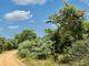 Thumbnail Land for sale in 191 Moria, 191 Moria, Moditlo Nature Reserve, Hoedspruit, Limpopo Province, South Africa