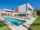 Thumbnail Villa for sale in San Pedro De Alcantara, Malaga, Spain