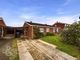 Thumbnail Semi-detached bungalow to rent in Maple Close, Wymondham
