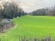 Thumbnail Land for sale in Bolahaul Road, Cwmffrwd, Carmarthen