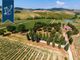 Thumbnail Farm for sale in Montepulciano, Siena, Toscana
