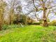 Thumbnail Detached house for sale in Ockley Road, Beare Green, Dorking, Surrey