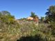 Thumbnail Property for sale in Amendoais, Algoz E Tunes, Silves