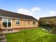 Thumbnail Detached bungalow for sale in Westcots Drive, Winkleigh, Devon