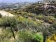 Thumbnail Bungalow for sale in Drouseia, Cyprus