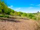 Thumbnail Land for sale in Cherry Trees, Tubwell Lane, Crowborough