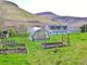 Thumbnail Detached house for sale in Lochranza, Isle Of Arran