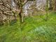 Thumbnail Detached house for sale in East Portlemouth, Salcombe, Devon