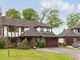 Thumbnail Detached house for sale in Ochiltree, Dunblane