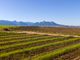 Thumbnail Farm for sale in Vlaeberg Road, Cape Town, Western Cape, South Africa
