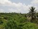 Thumbnail Land for sale in Christ Church, Barbados