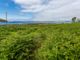 Thumbnail Property for sale in Plot 3, South Newton, Lochranza, Isle Of Arran, North Ayrshire