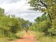 Thumbnail Farm for sale in 1 Buffalo Ranch, 1 Selati Nature Reserve, Selati Game Reserve, Hoedspruit, Limpopo Province, South Africa