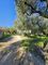 Thumbnail Land for sale in Agrilia, Greece