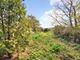 Thumbnail Bungalow for sale in Chilham, Canterbury