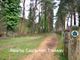 Thumbnail Detached bungalow for sale in Webbs Way, Ashley Heath