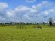 Thumbnail Land for sale in Land At Lochhill, Ringford, Castle Douglas