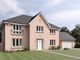 Thumbnail Detached house for sale in "Macrae" at Deanburn Road, Linlithgow