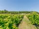 Thumbnail Land for sale in Somerby Vineyard &amp; Winery, Somerby, Barnetby, Lincolnshire