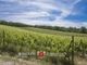 Thumbnail Farm for sale in Gaiole In Chianti, Tuscany, Italy