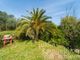 Thumbnail Country house for sale in Italy, Liguria, La Spezia, La Spezia