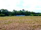 Thumbnail Land for sale in Property 70Ha, Santarém, Salvaterra De Magos, Muge, Salvaterra De Magos, Santarém, Central Portugal